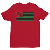 AFRICAN AMERICAN FLAG