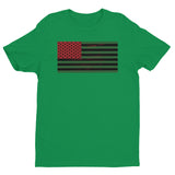 AFRICAN AMERICAN FLAG